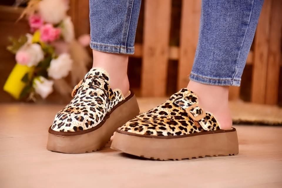 sabot tigre