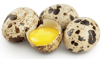 Oeufs de cailles